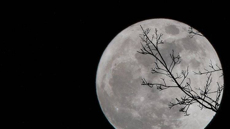 Full Moon Walk 2