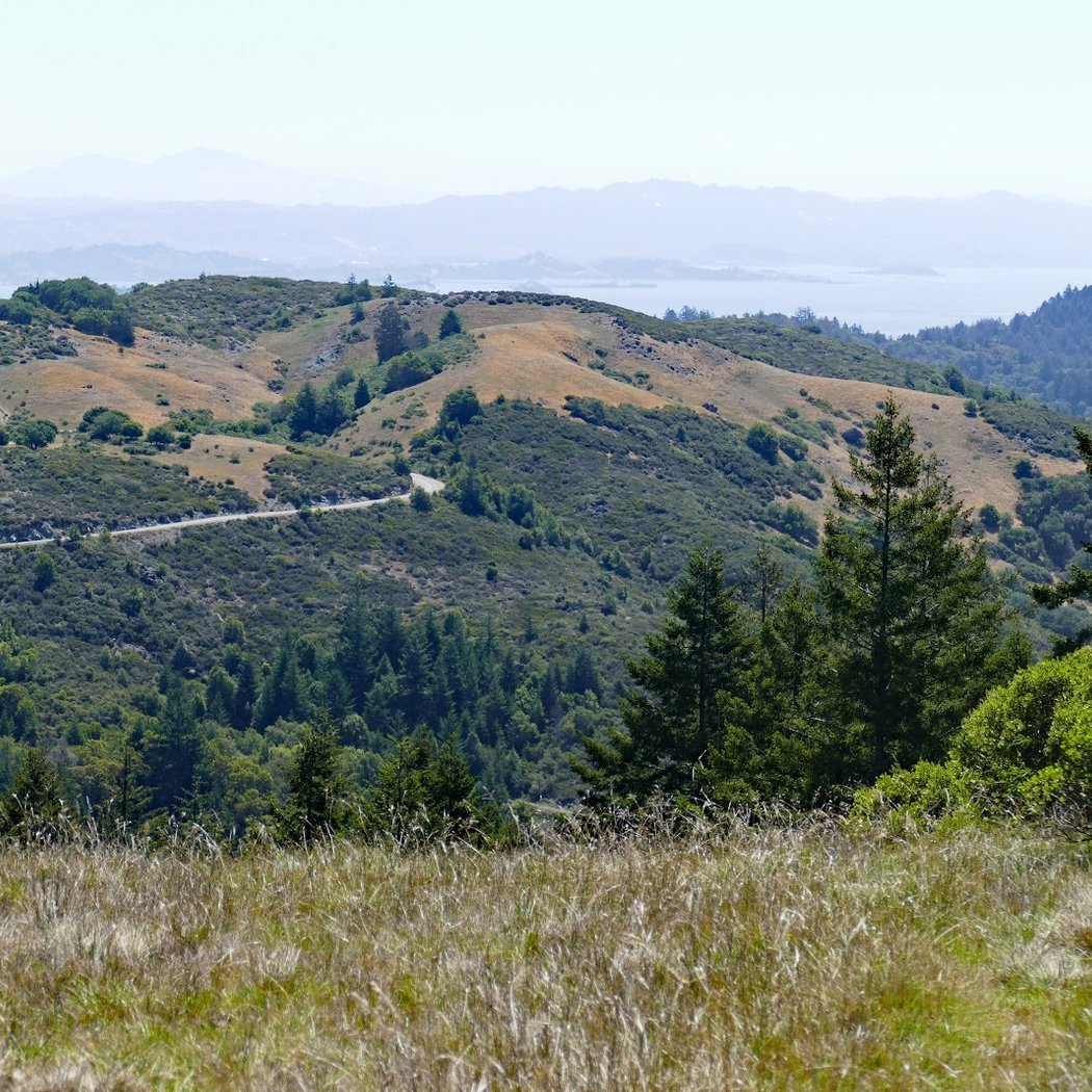 Azalea Hill Trail 2