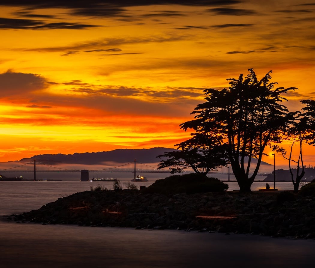 Shoreline Park 1