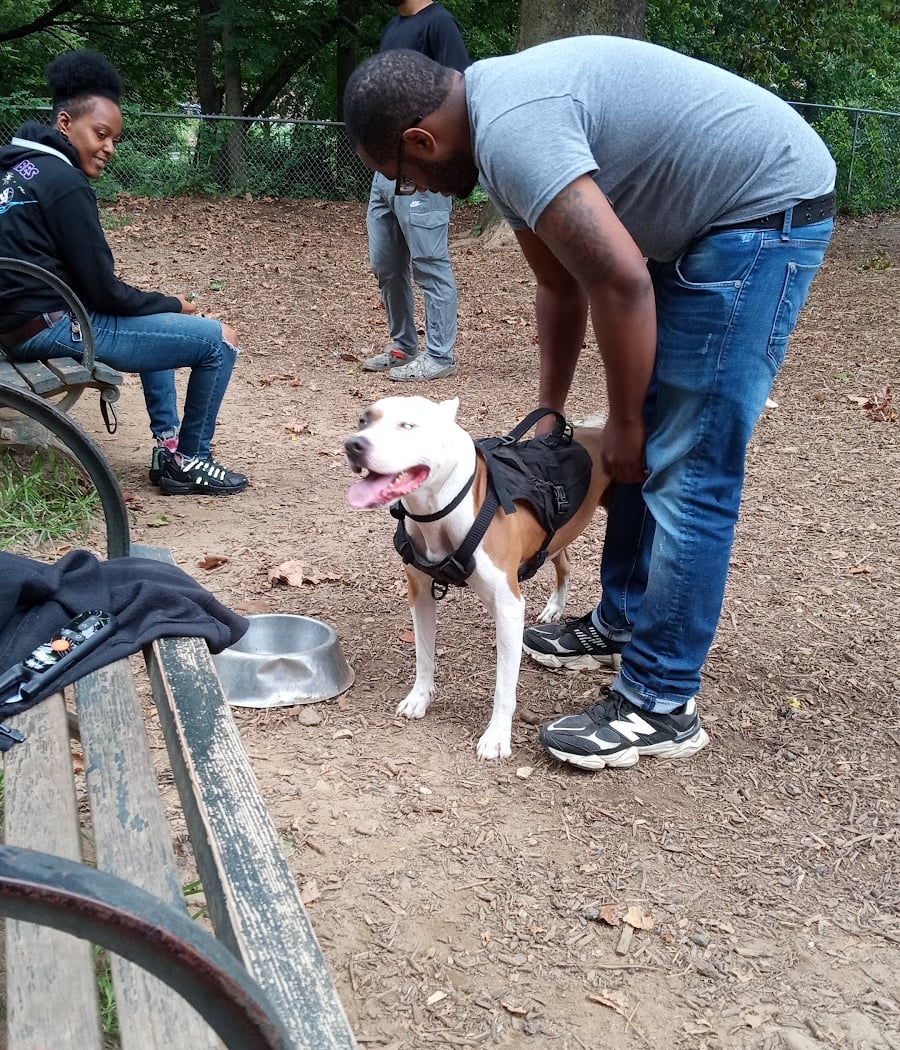 Ewen Park Dog Run 2