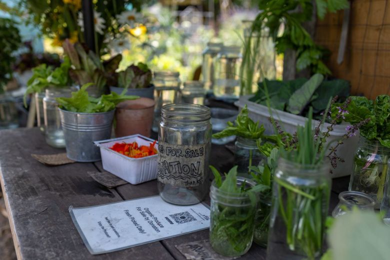 Bancroft Community Garden 2