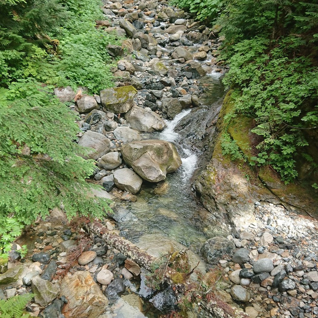 Denny Creek Trail 2