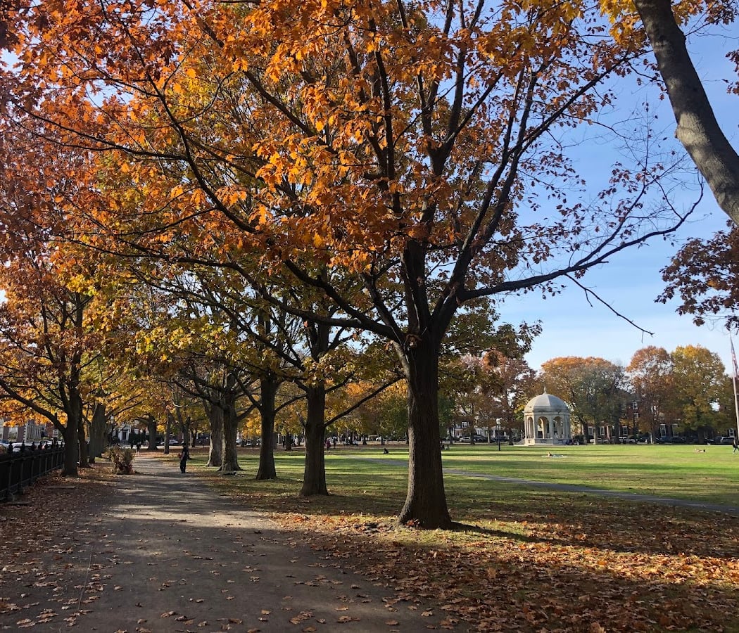 Salem Common 1