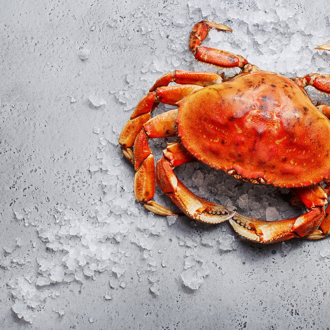 Chili Crab (& Friends) 1
