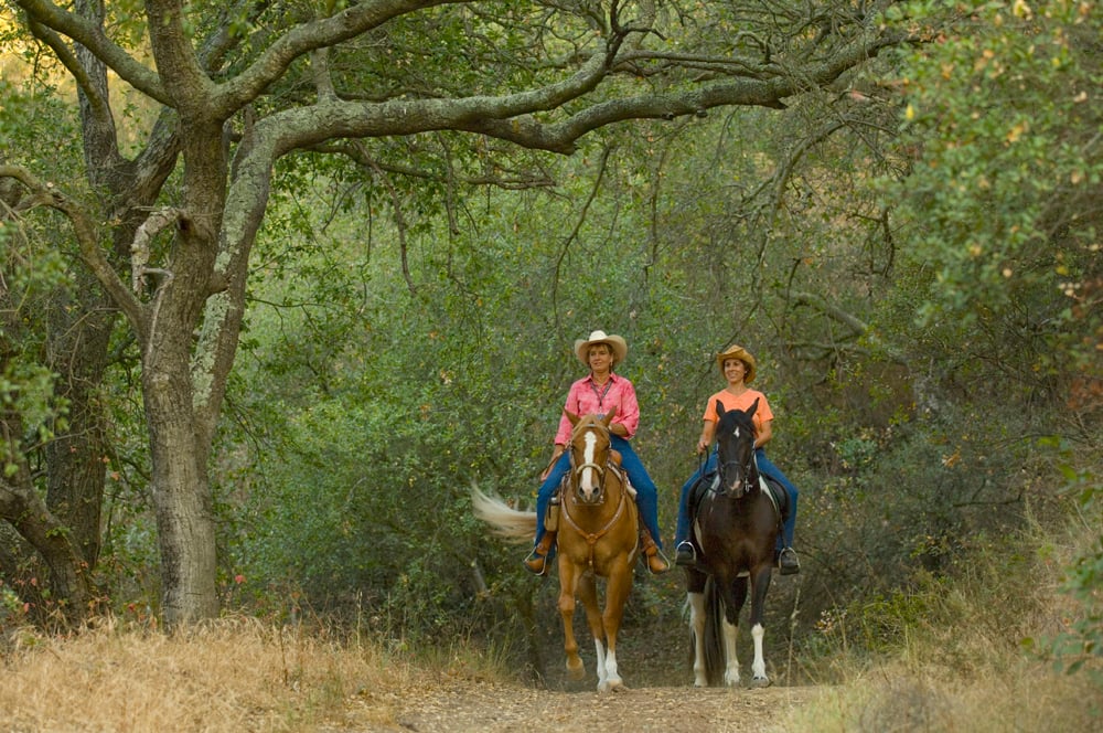 Equestrian Ride: Discover The Natural Wonders Of Weir Canyon 1