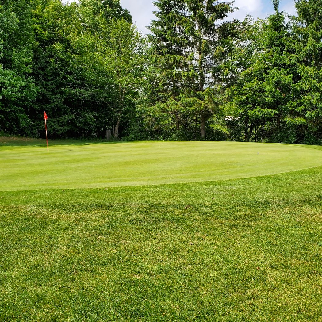 Apalachin Golf Course 2