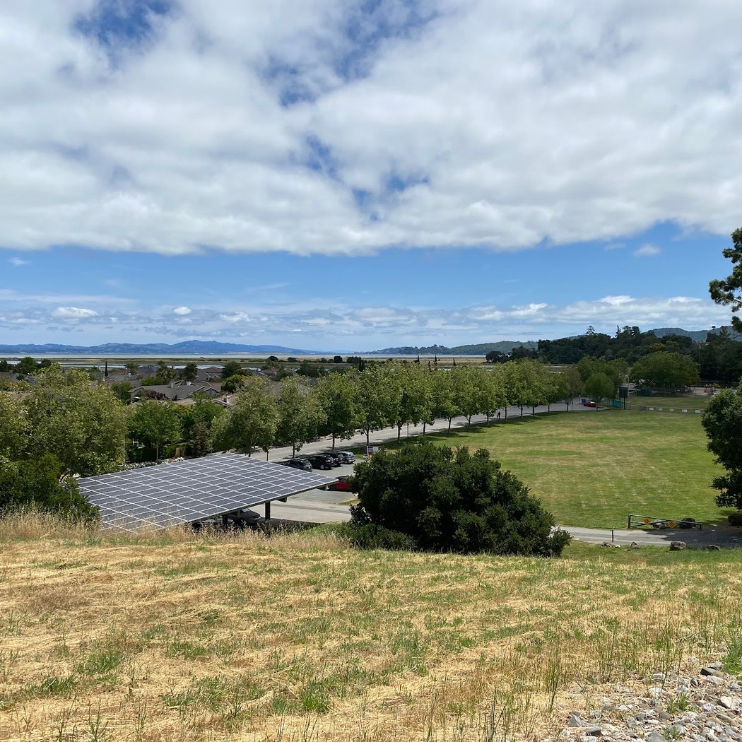Novato Lucky Run 2026 2