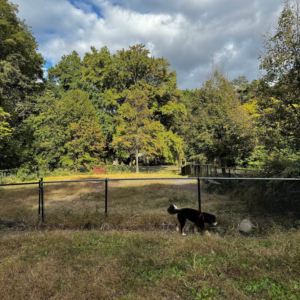 Canine Court 2