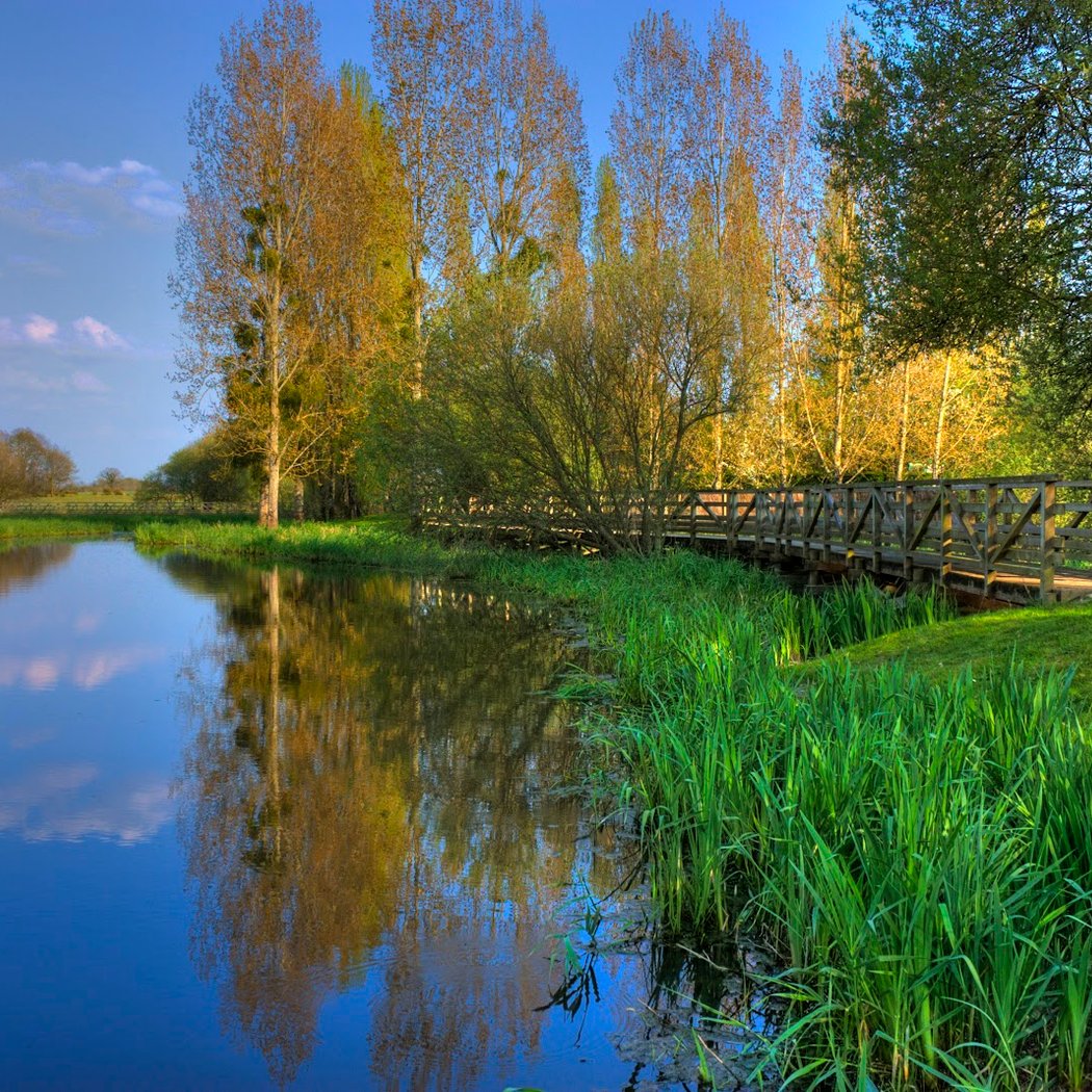 Collectif Natur’Adapt autour du Lac de Grand-Lieu