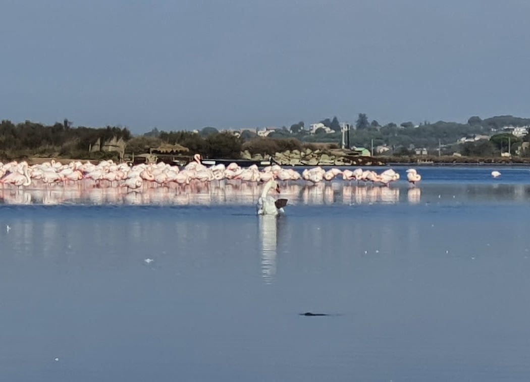 Sérignan Plage 2