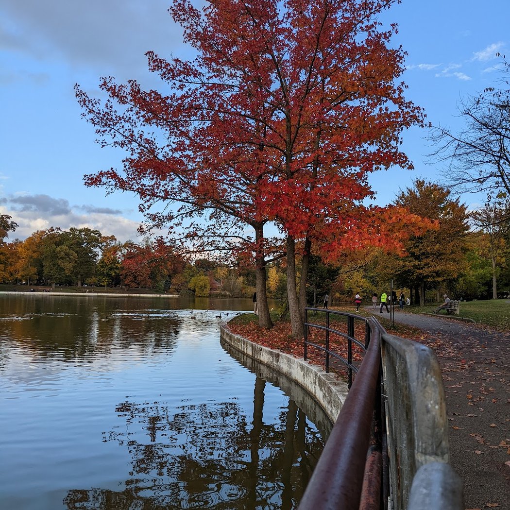 Kissena Lake 3