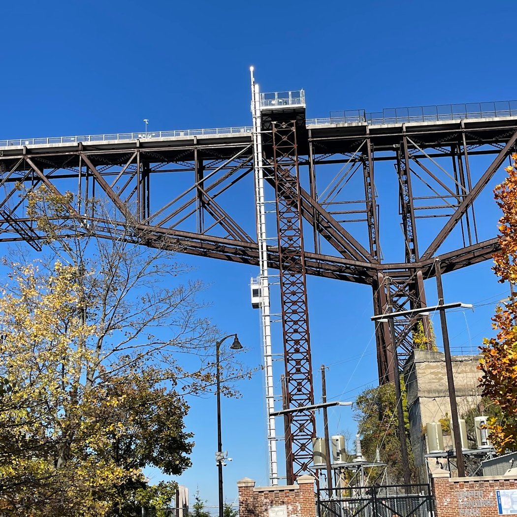 Walkway Connections: American Eels In Our Hudson River 4