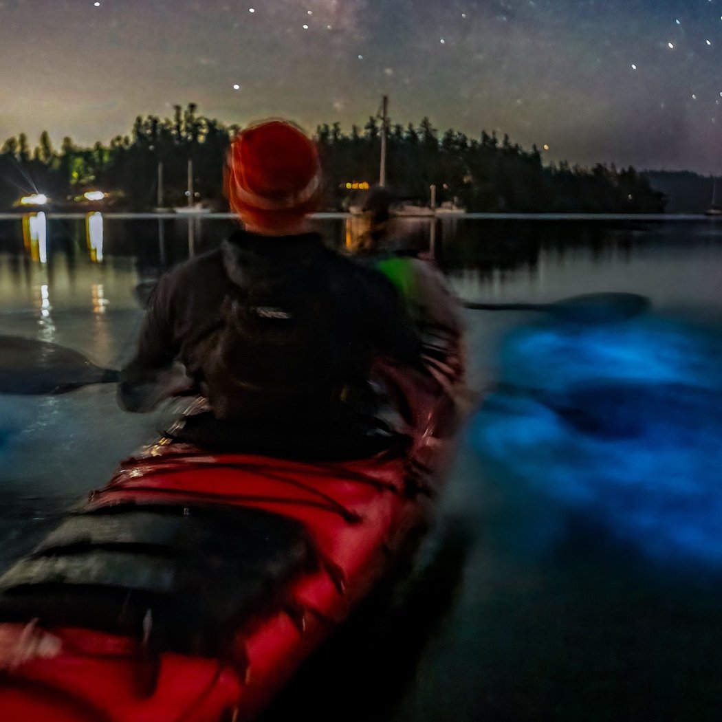 Hood Canal Adventures 1