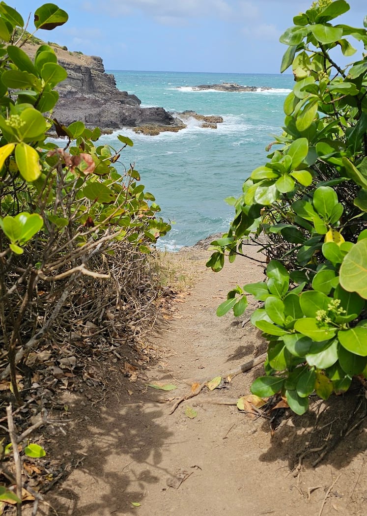 Plage de Sinaî 3
