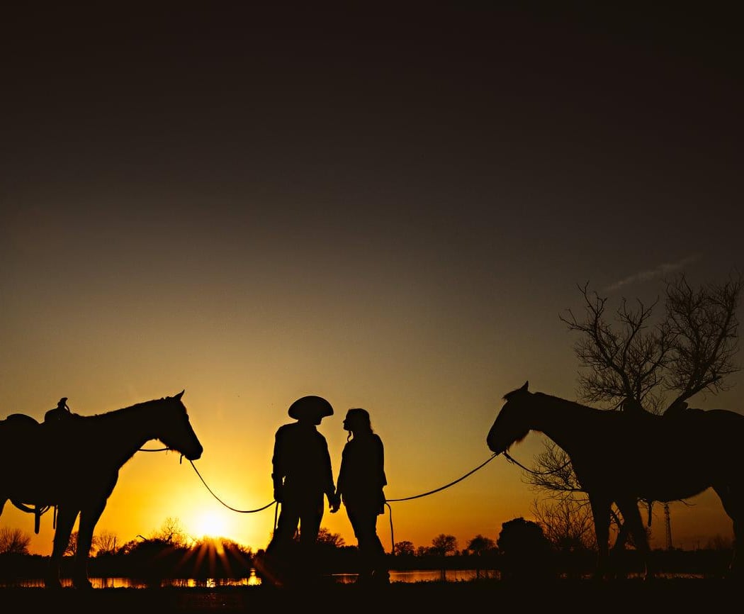 Ocean View Stables 3