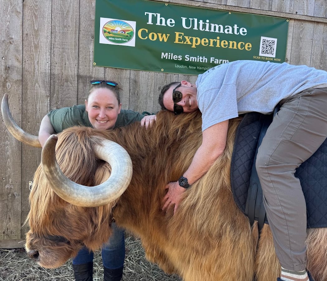 Cow Crew Experience 3