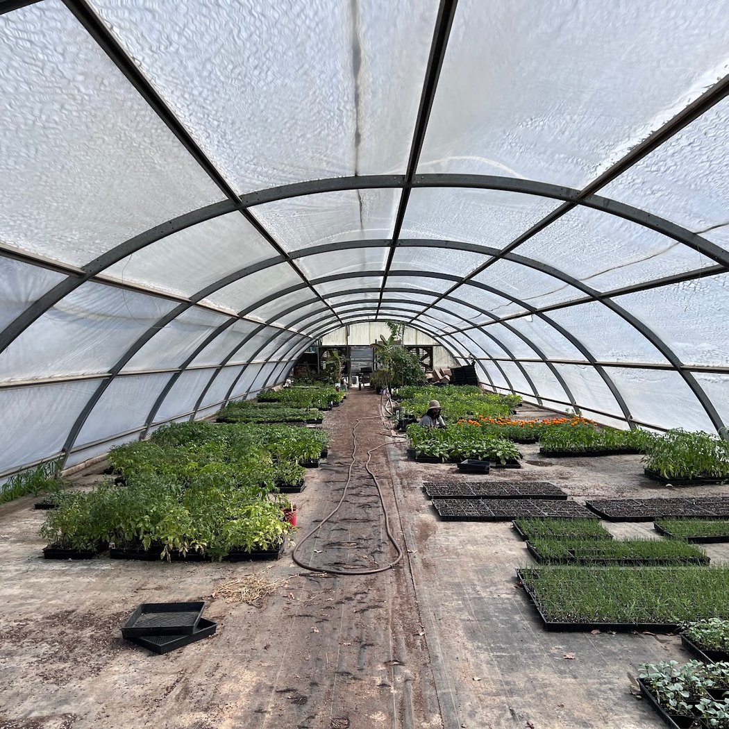 Asahi Nursery 2