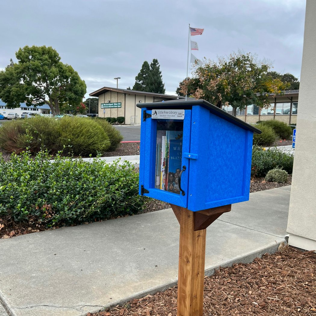Little Free Library Grand Opening 1