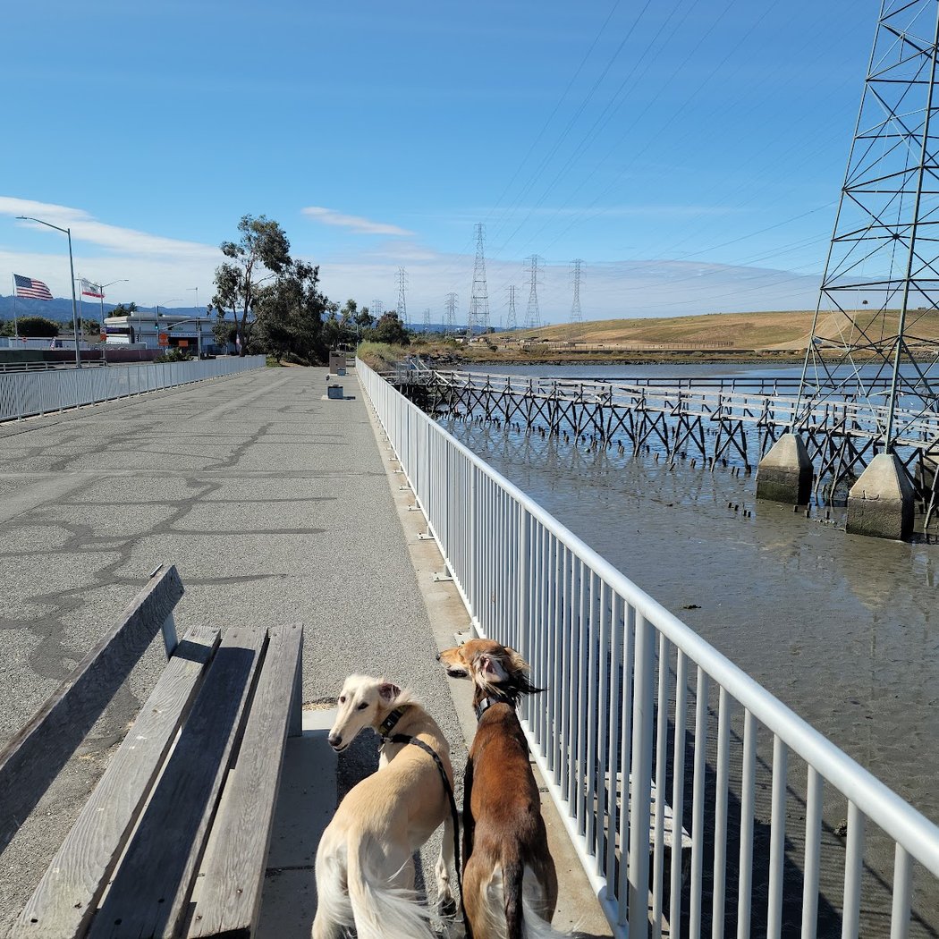 Dog Park | Seal Point Harbor 3