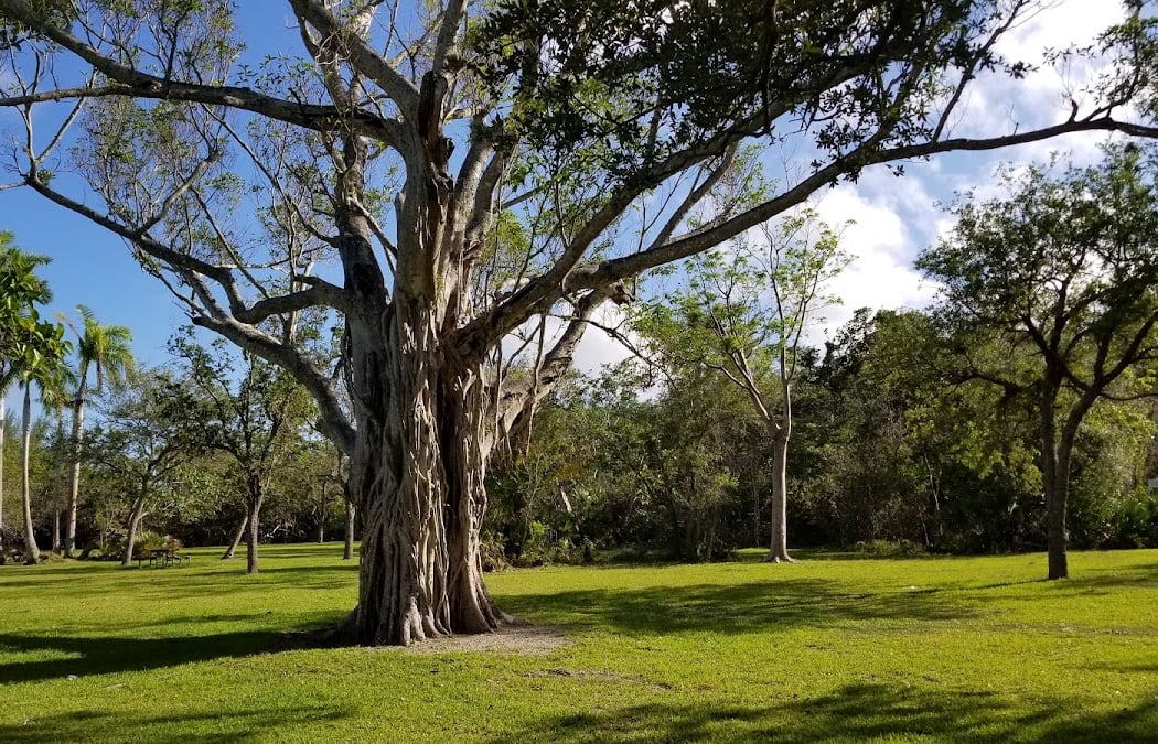 Matheson Hammock Park & Marina 3