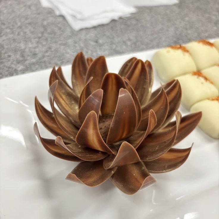 TEENS Chocolate Wonderland 4: Chocolate Petals & Cupcake Flowers 1