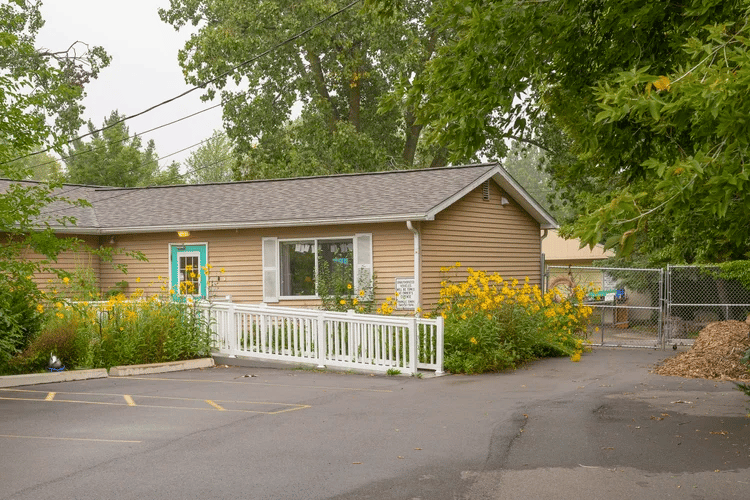 Green Apple Garden Playschool - Lower School 3