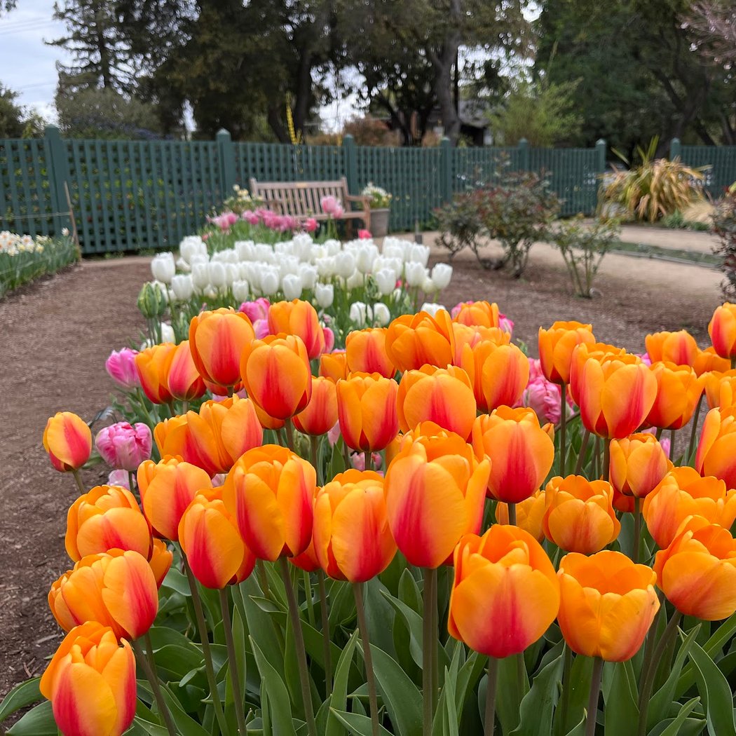Gardeners' Hour: January 1