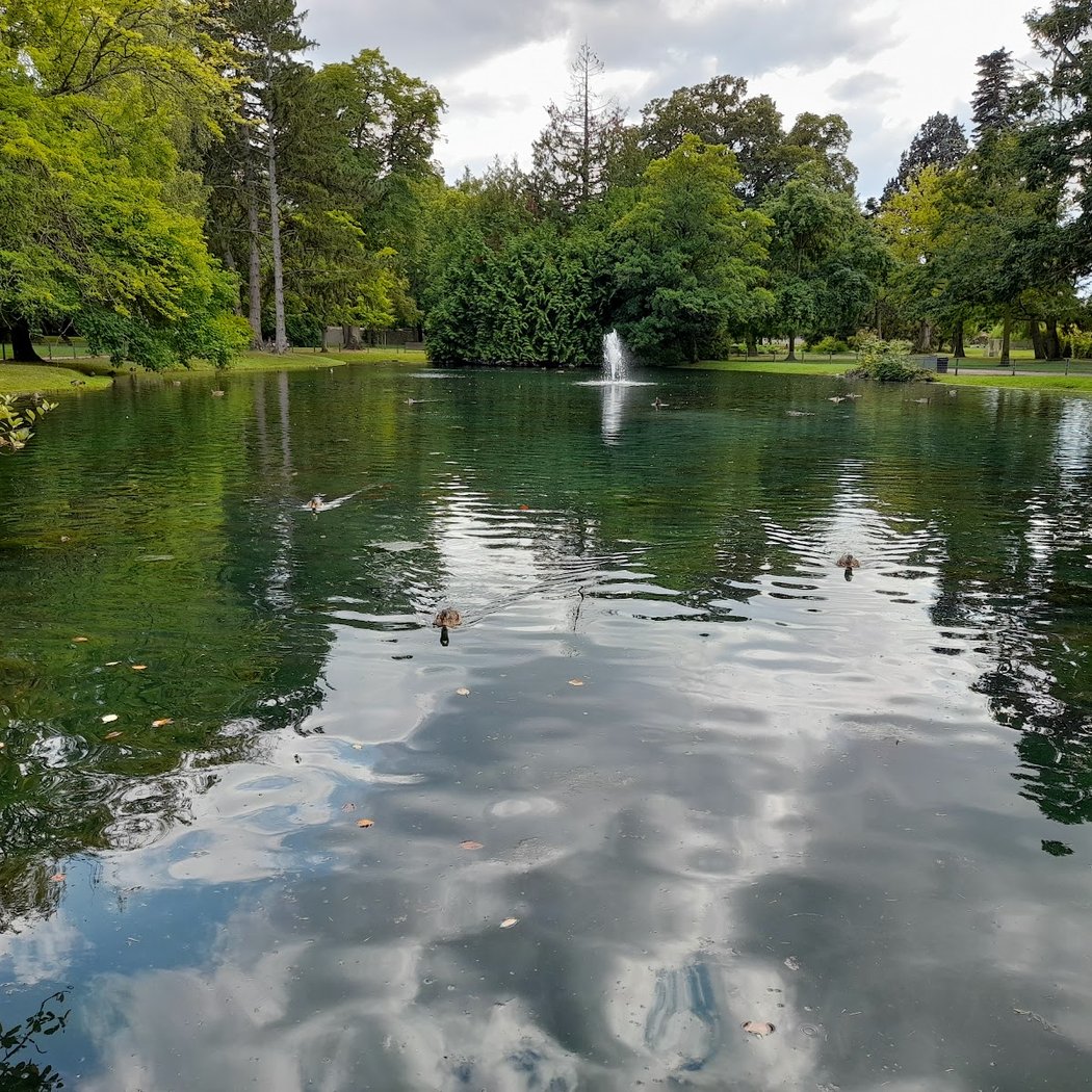 Public Garden 3