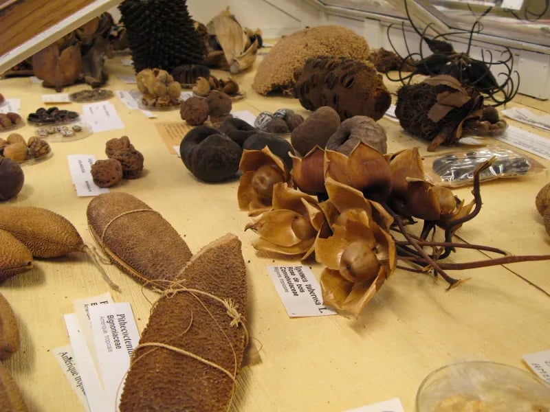 Fête de la Nature 1