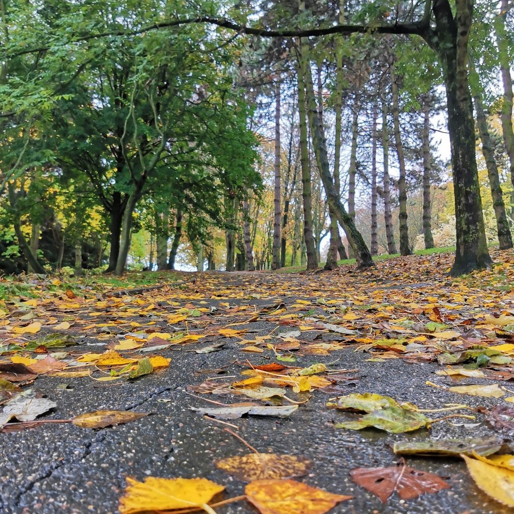 Parc des Blondeaux 1