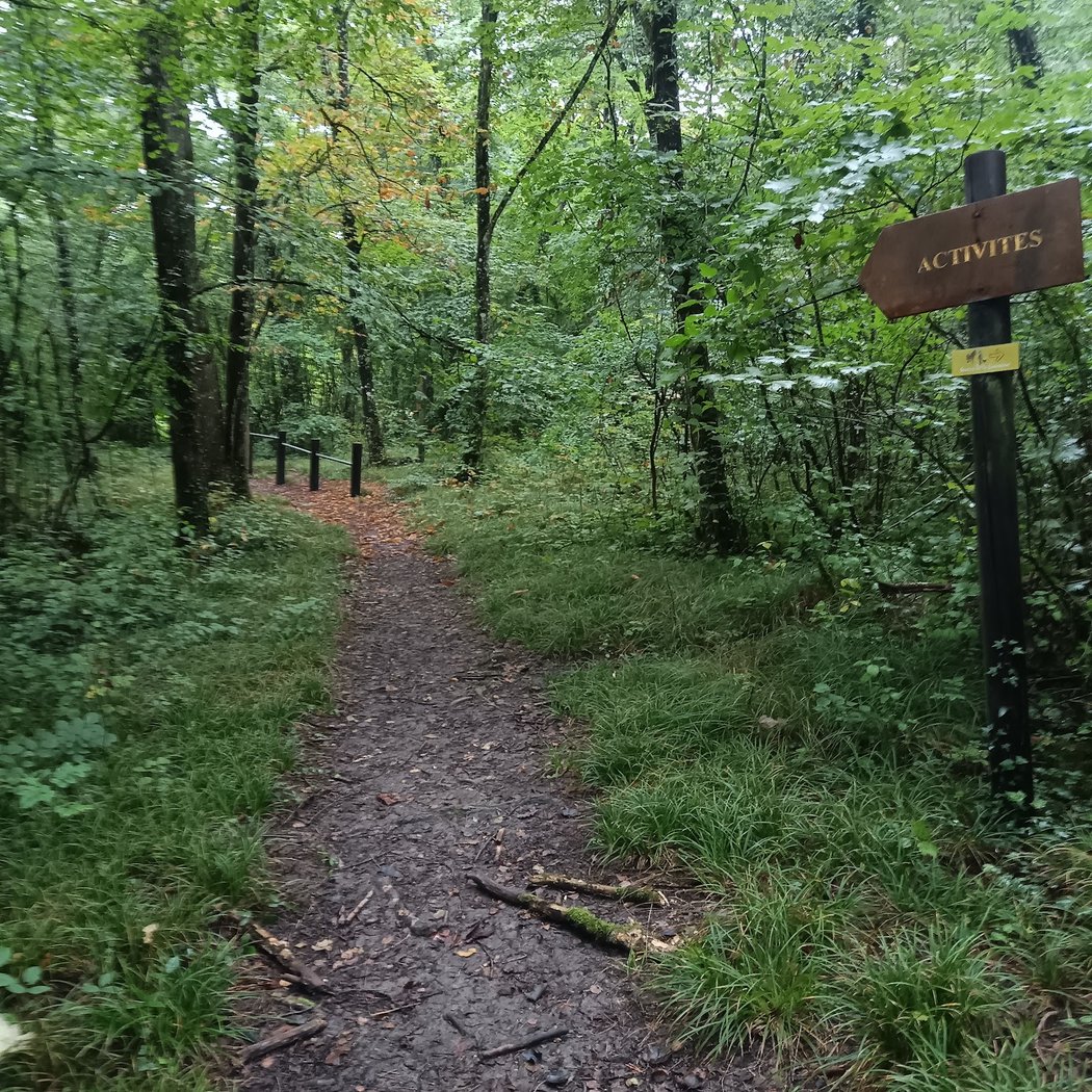 Sentier de la Limonière 1