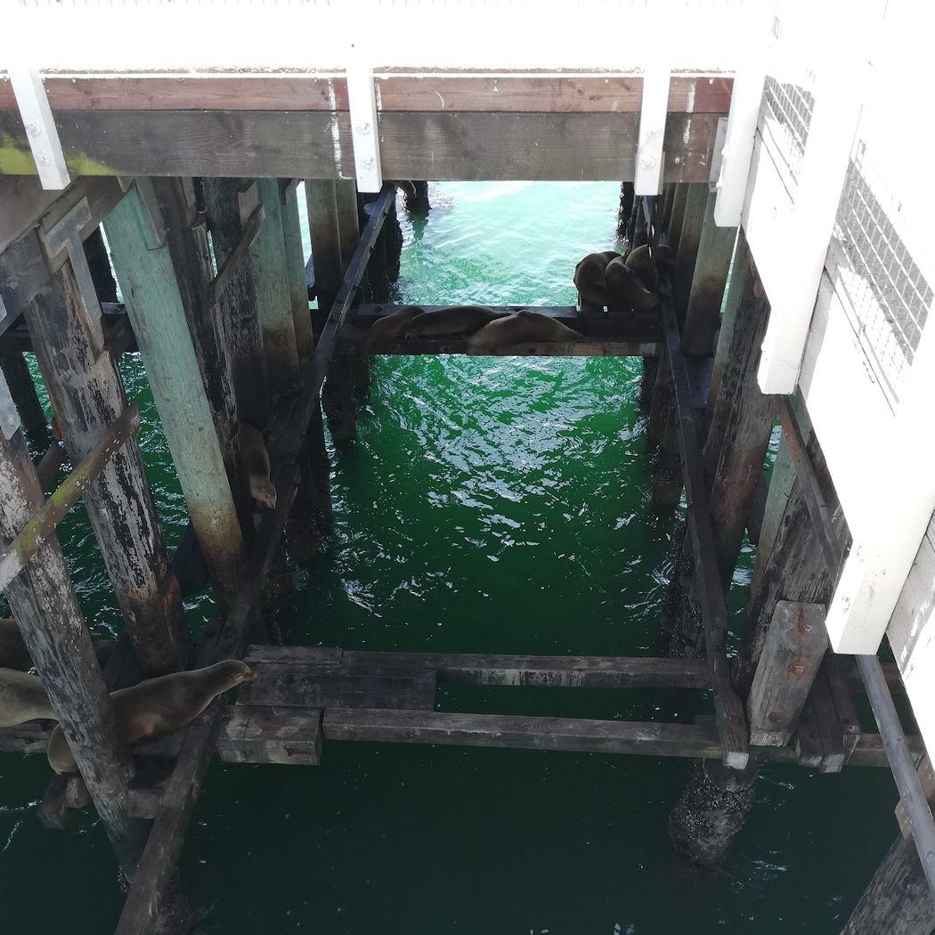 Sea Lion Deck 3