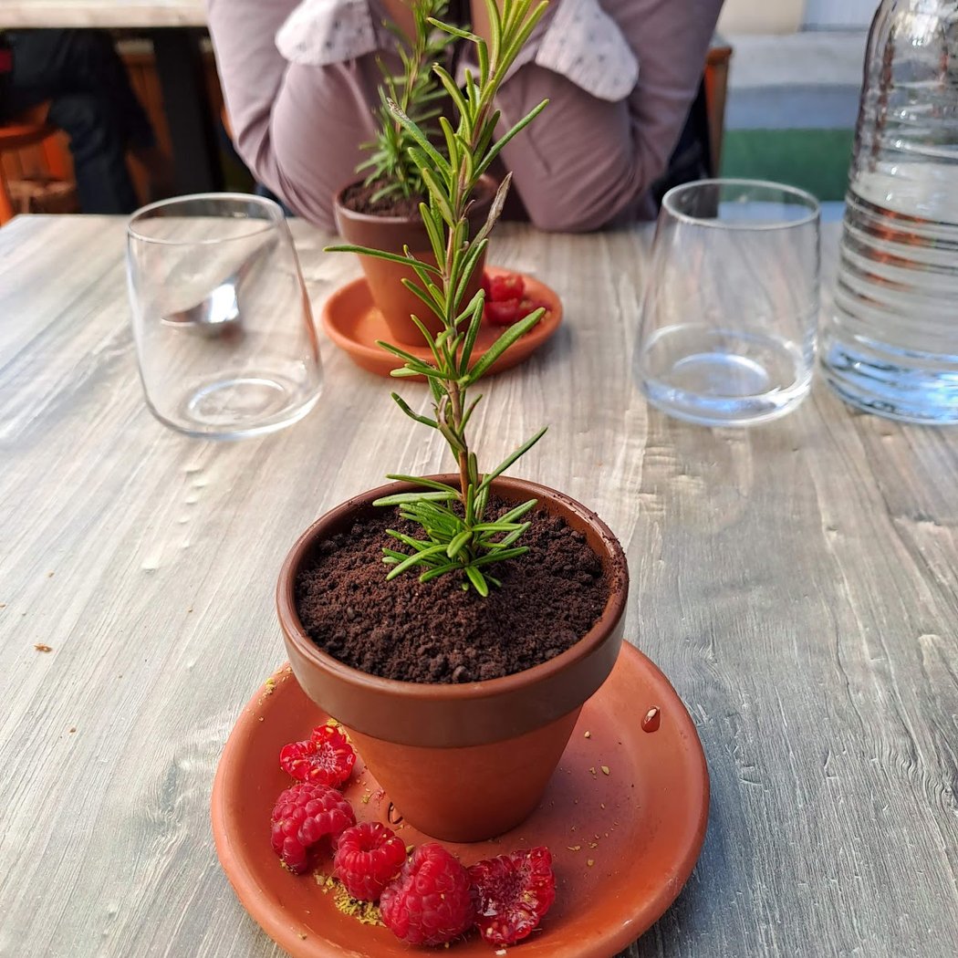 Du Jardin à l'Assiette 1