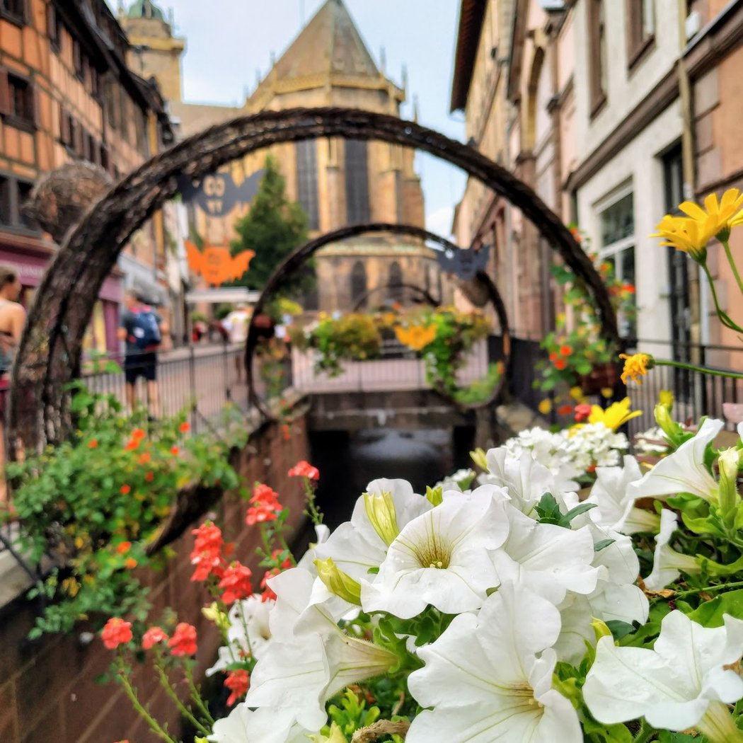 Colmar 3