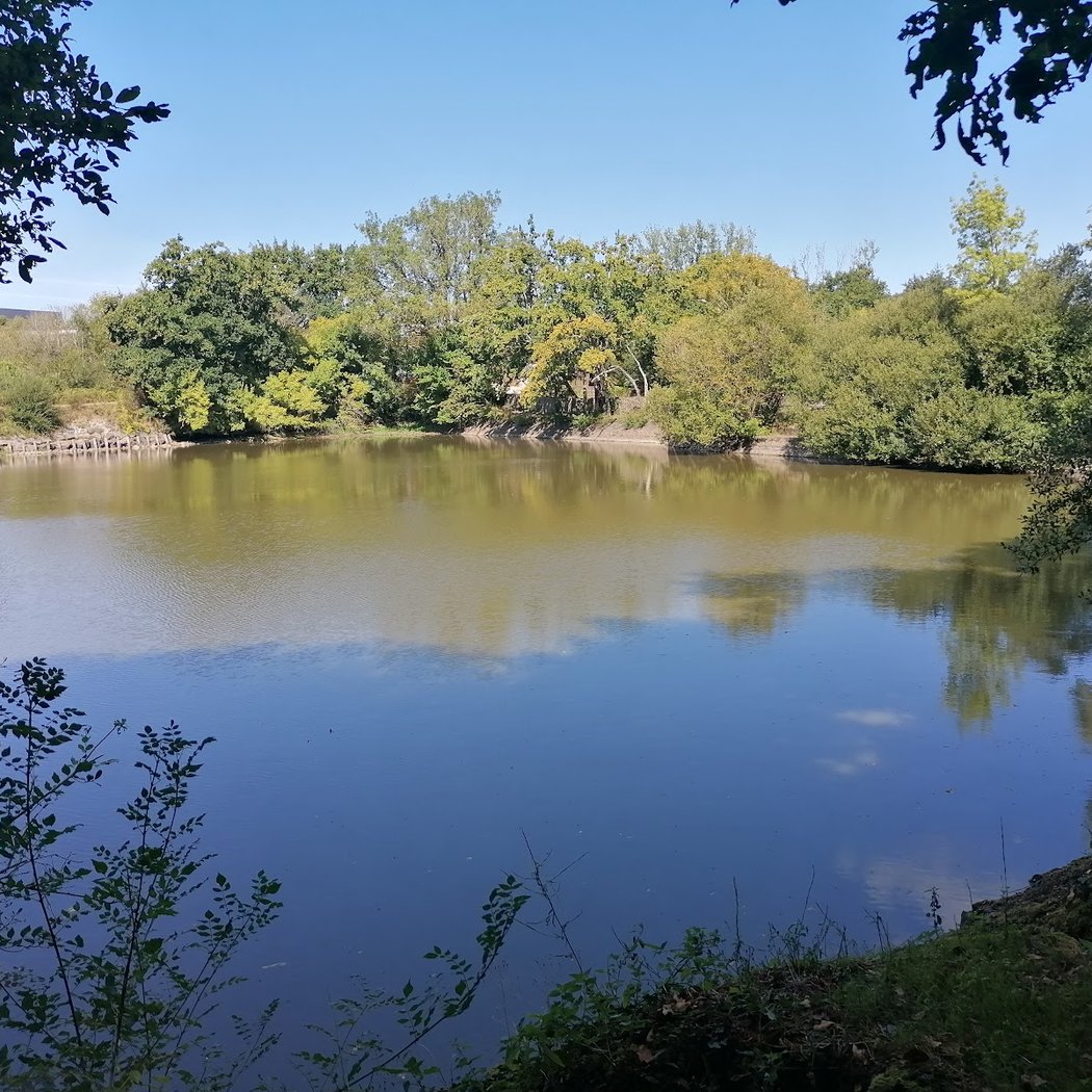 bassin de Guindreff 2