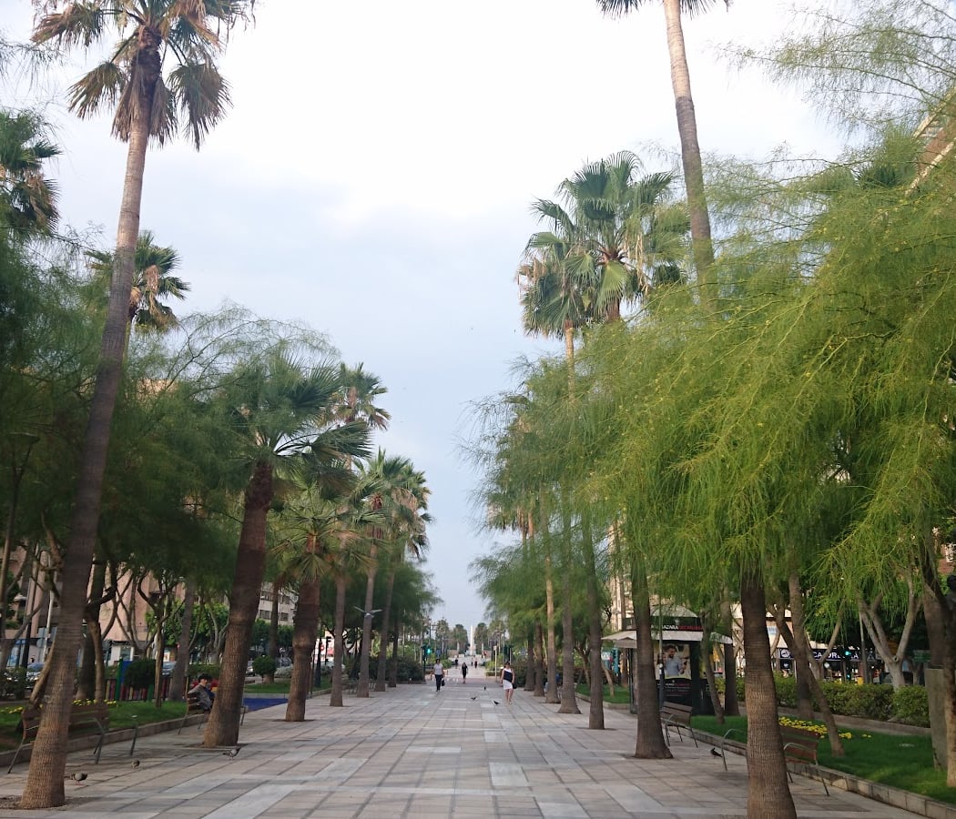 Avenida Federico García Lorca 2