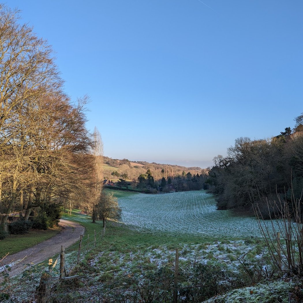 North Downs Way 4