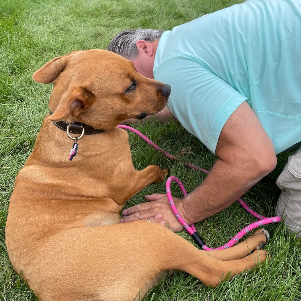 Paw-Jama Party Adoption Event 2