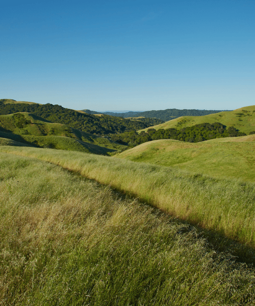 Ridgeline Trail 2