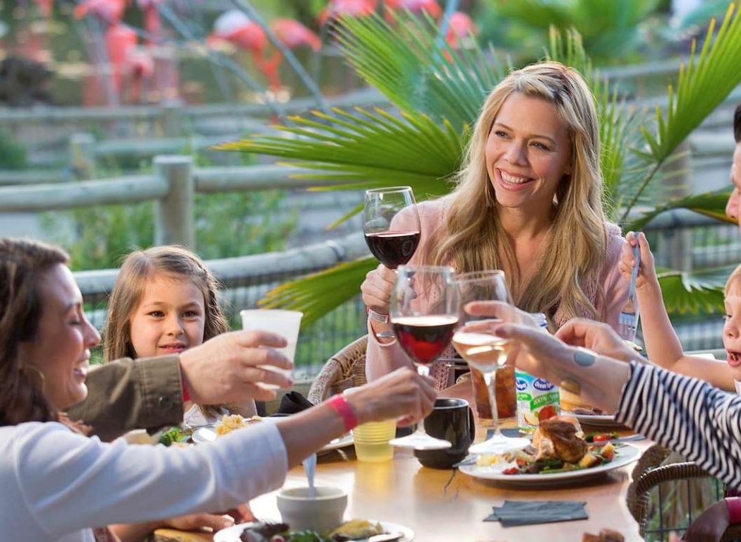 The Sonoma Serengeti Thanksgiving 1