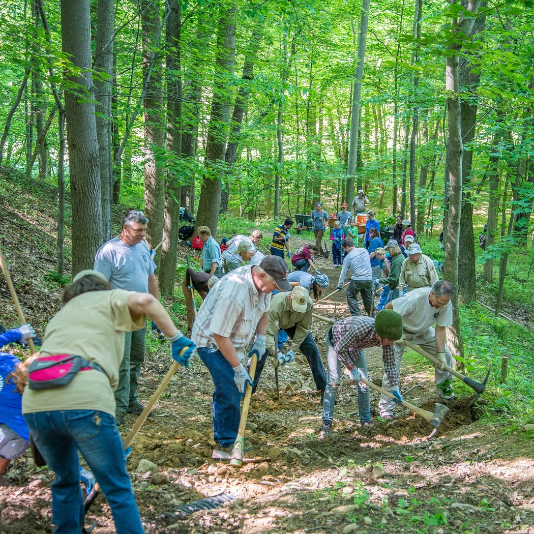Banshee Reeks Volunteer Day 1