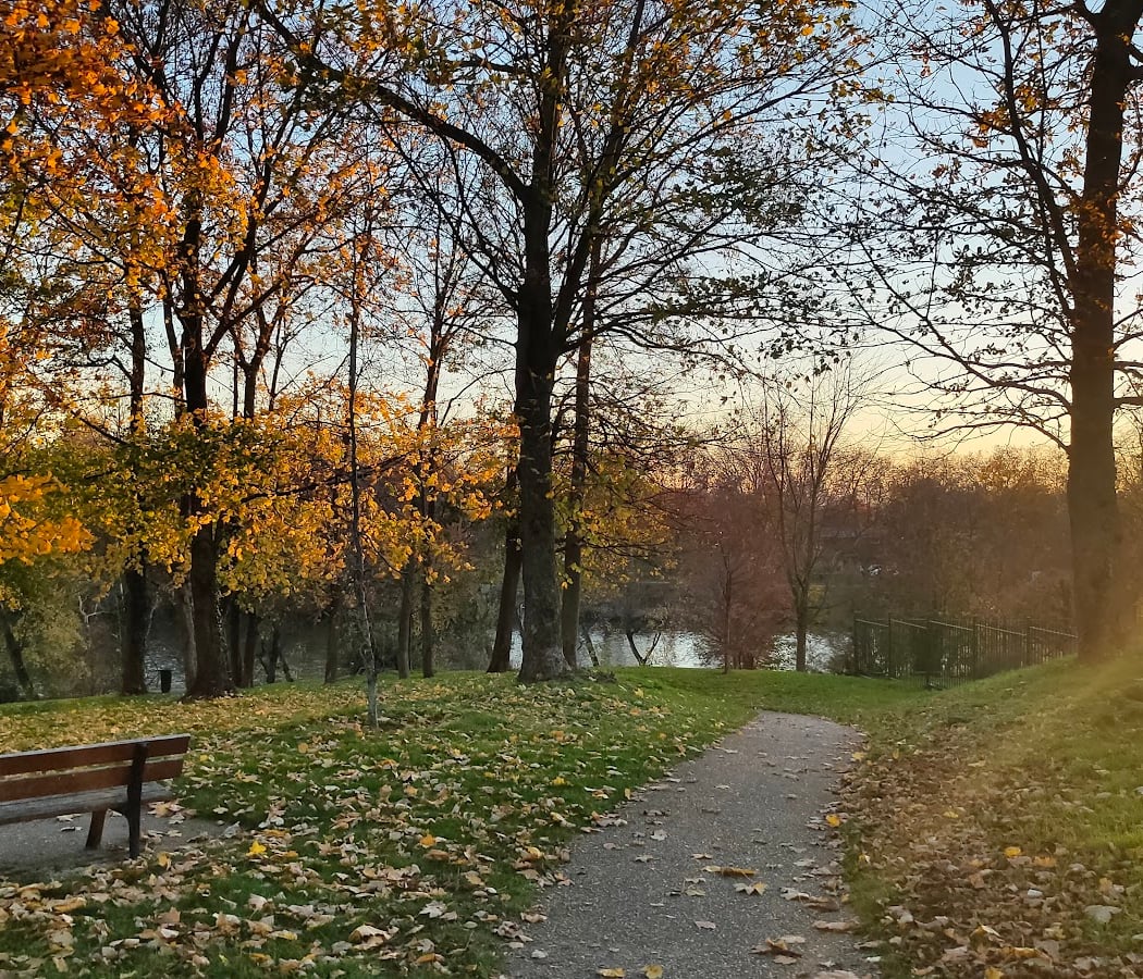 Parc des Beatus 1