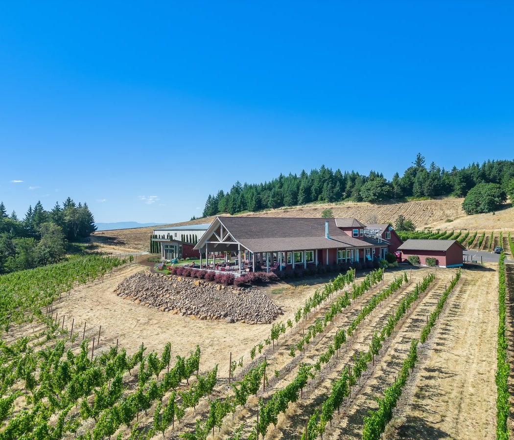 Yoga + Wine at Bryn Mawr Vineyards 4