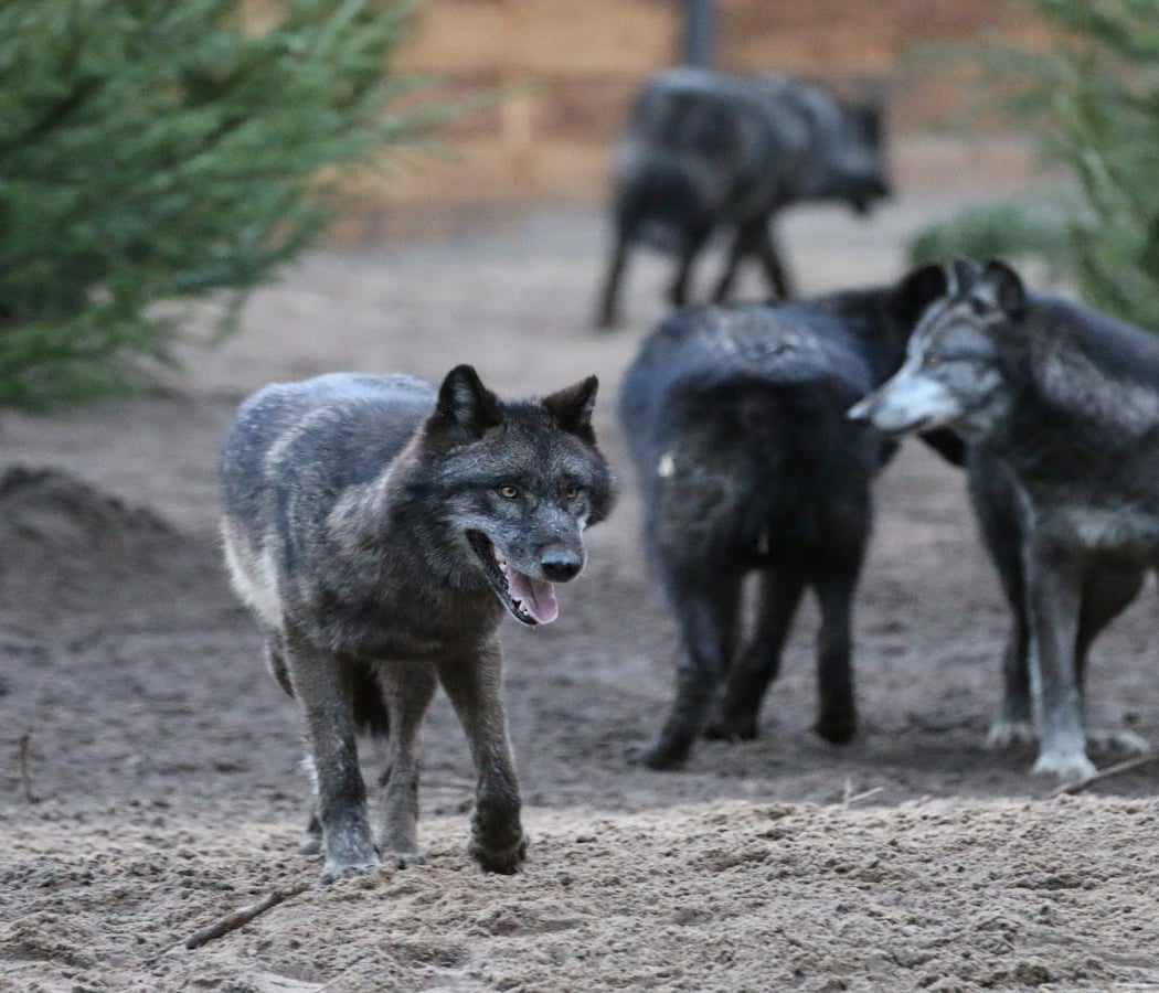 Zoo Labenne 5
