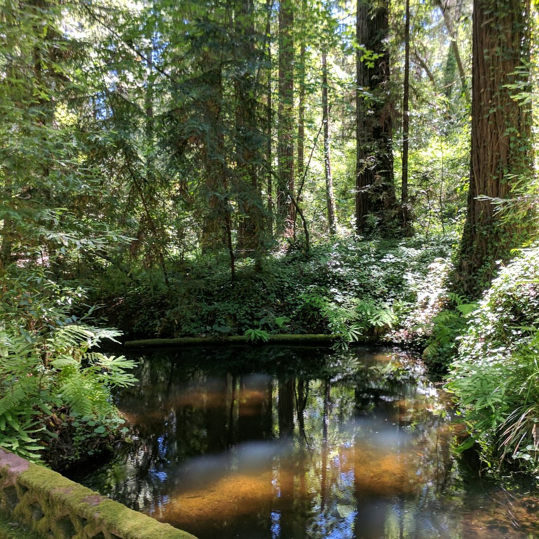 Griffith Woods 2