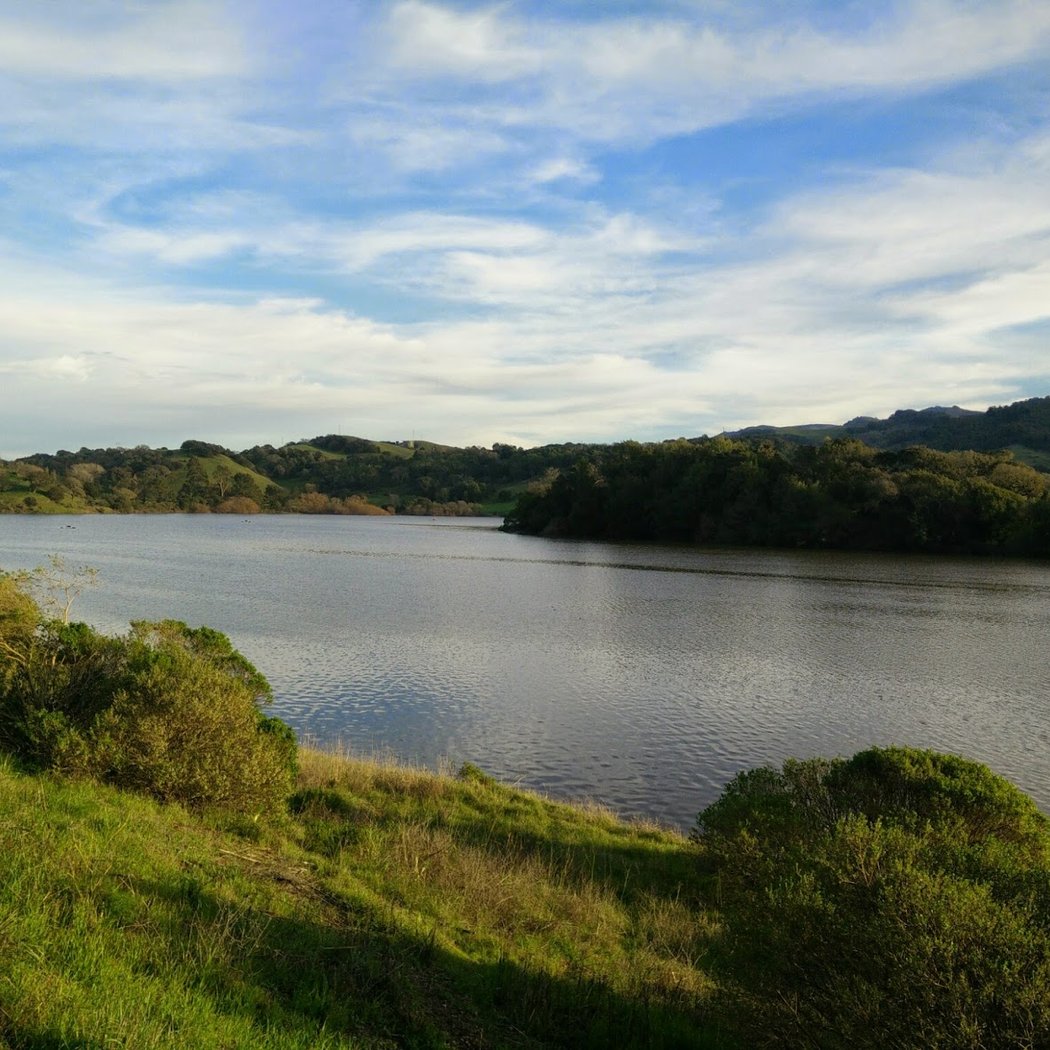 The 63rd Marin Century 2