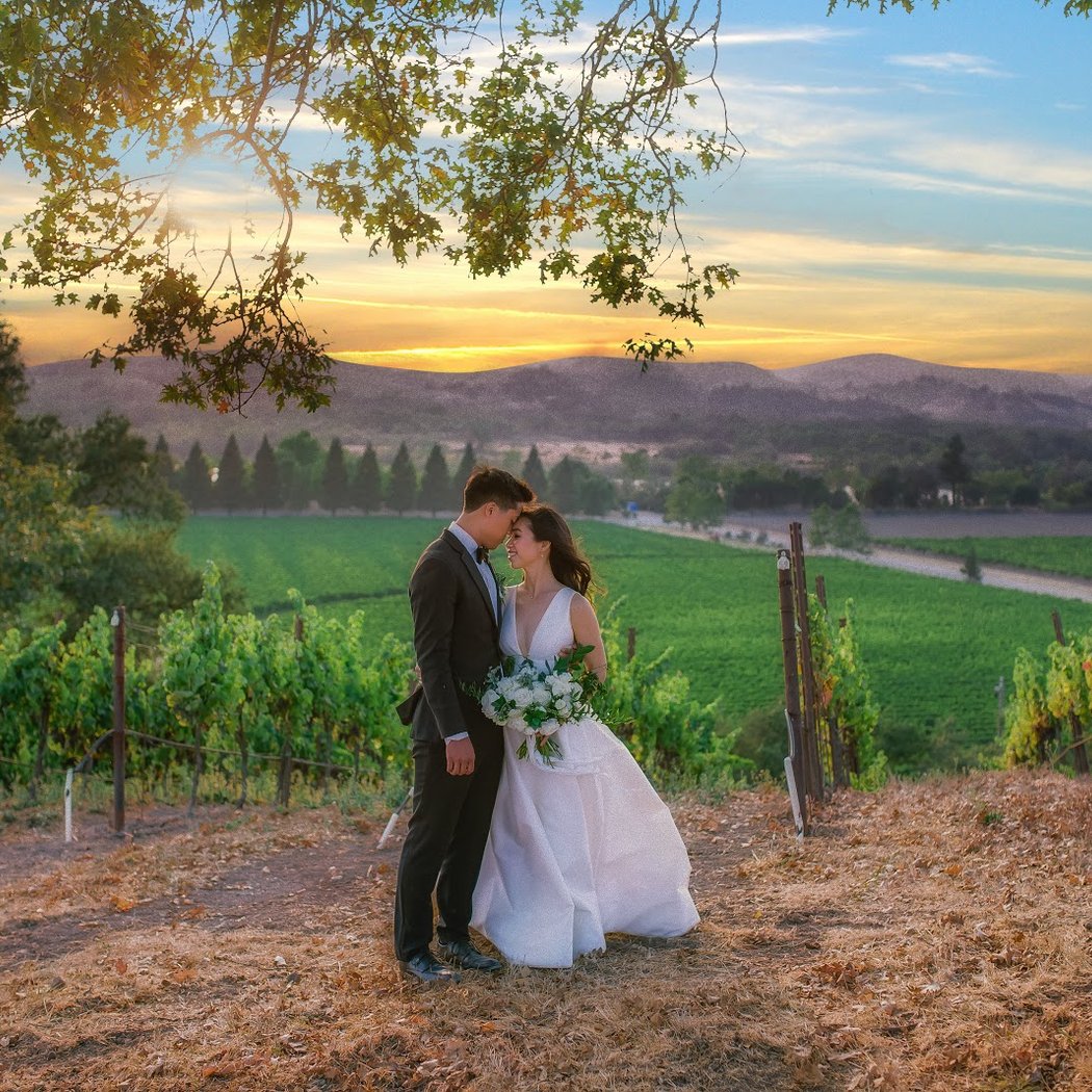 Copain Wines 3