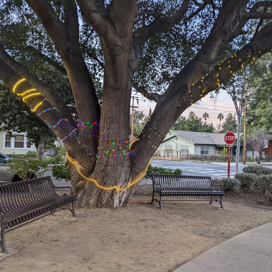 Mercy-Bush Park 3