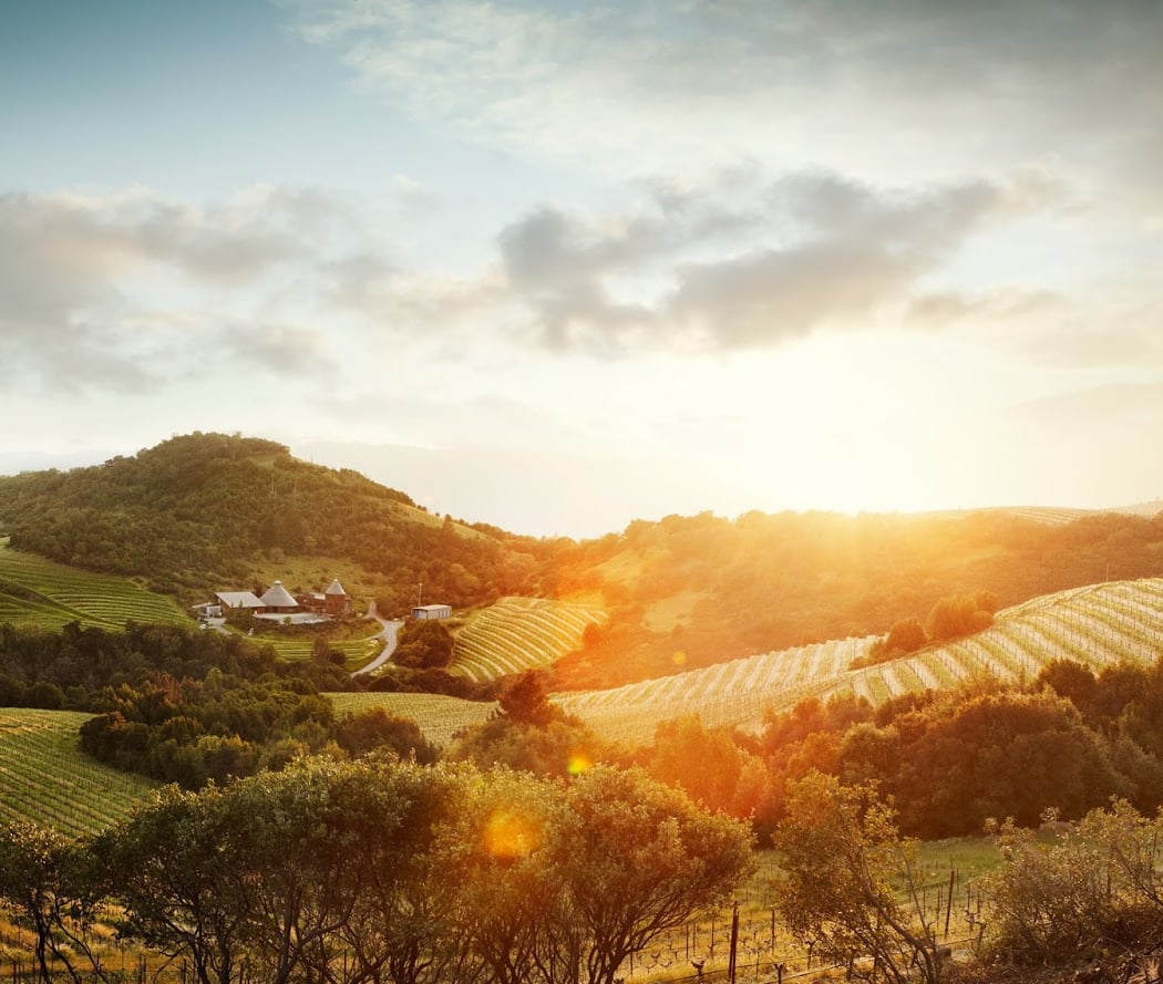 Repris | Moon Mountain Vineyard (Reservations Required) 1