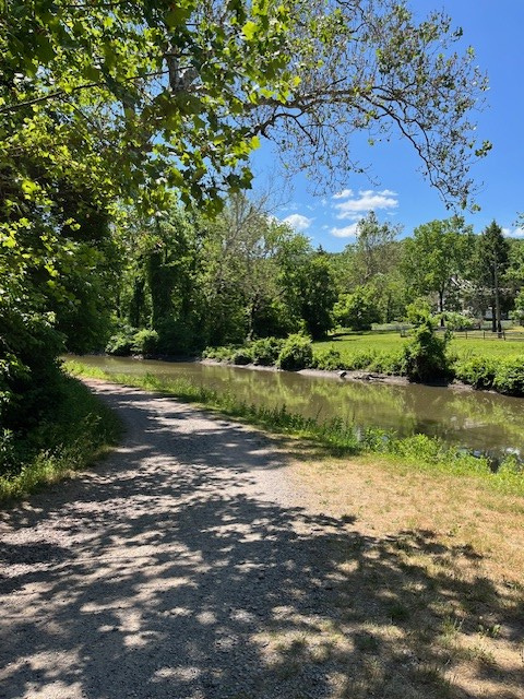Wineberry Walk 3
